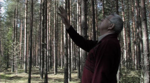 Roland om Skogen, Videodump